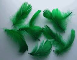 Feathers - Green  (200)