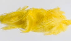 Yellow Feathers Pack Of 20
