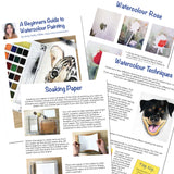 Watercolour 24 half pan set