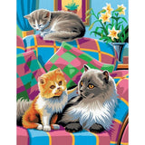 Paint By Numbers Medium - Cats Twin Pack