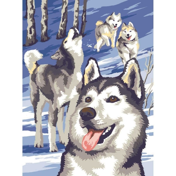 Paint By Numbers Medium Twin Pack - Winter Wildlife