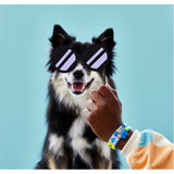 Lego My Pets Bracelet
