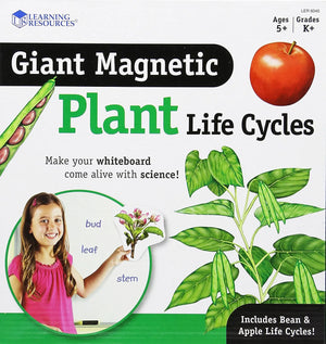 Magnetic Plant Life Cycles