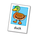 Orchard Toys Flashcards