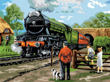 Paint By Numbers Adult Large - Steam Train