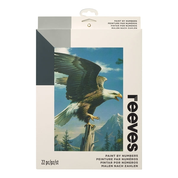 PBN ARTIST COLL-9X12- SCREAMING EAGLE