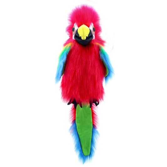 Large Birds: Amazon Macaw