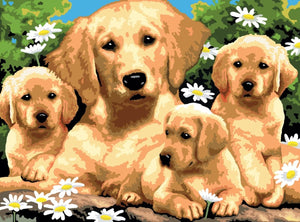 Paint By Numbers Junior Large Golden Retrievers