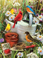 Paint By Numbers Junior Small Large - Garden Birds