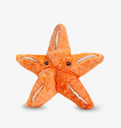 25cm Keeleco Starfish
