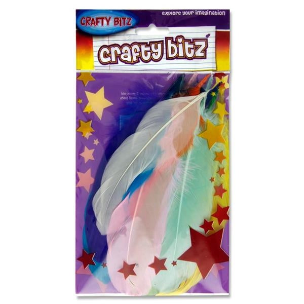 10G Bag Feather Duck Quills